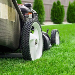 QUALITY PAVING STONE